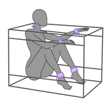 Secret Dome La Niche Bondage Box Purple